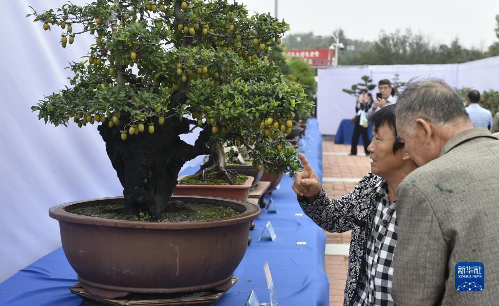 新金沙游戏网